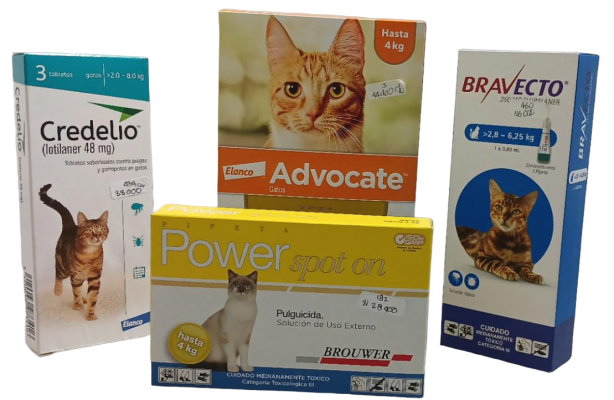 medicamentos, medicamentos para mascotas, veterinaria mosquera, veterinaria en mosquera, cirugía veterinaria, veterinaria cirugías