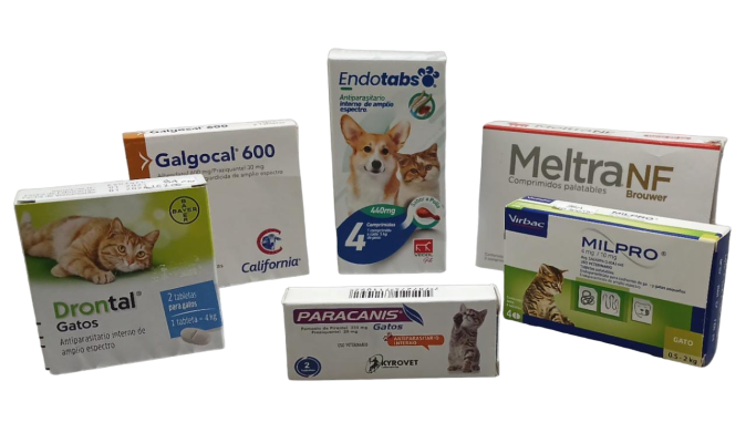 medicamentos, medicamentos para mascotas, veterinaria mosquera, veterinaria en mosquera, cirugía veterinaria, veterinaria cirugías